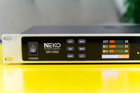 VANG SỐ  NEKO DK1000