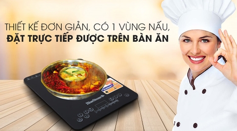 Bếp từ đơn Bluestone ICB-665