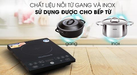 Bếp từ Bluestone ICB-6609