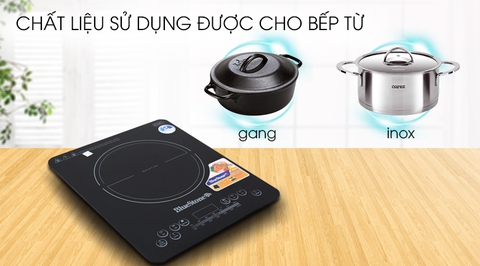 Bếp từ đơn Bluestone ICB-665