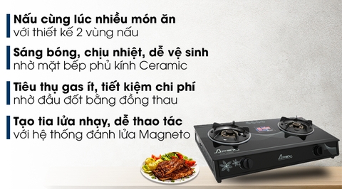 Bếp ga đôi Apex APB0816