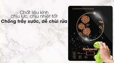 Bếp từ Kangaroo KG408I