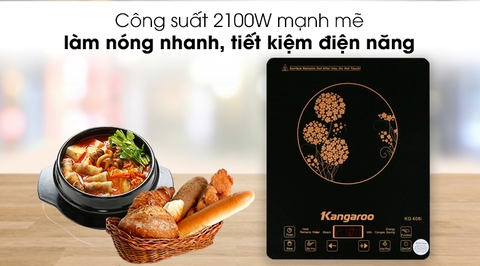 Bếp từ Kangaroo KG408I