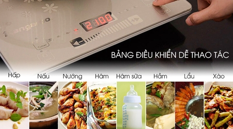 Bếp từ Kangaroo KG419i
