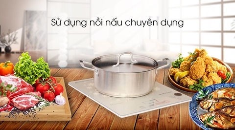 Bếp từ Kangaroo KG419i