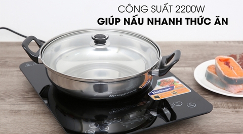 Bếp từ đơn Bluestone ICB-665