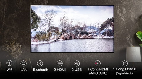 Smart Tivi OLED LG 4K 55 inch 55A2PSA