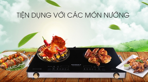 Bếp hồng ngoại đôi Sanaky SNK-203HGNW