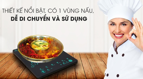 Bếp từ Midea MI-T2120DD