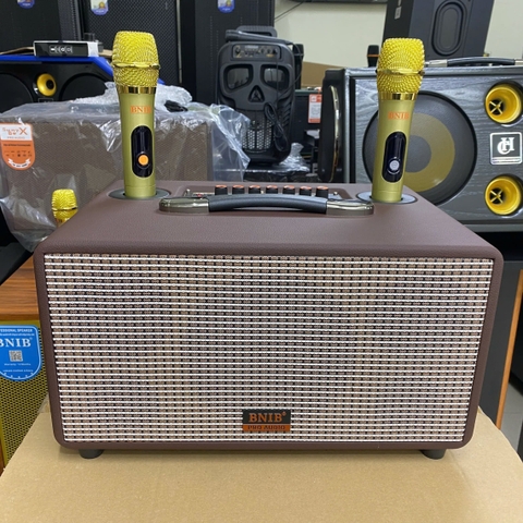 Loa karaoke xách tay bluetooth BNIB BN-116