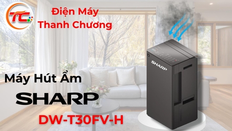Máy hút ẩm Sharp DW-T30FV-H