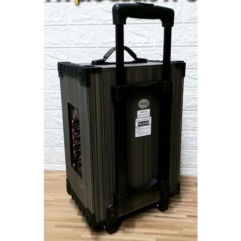 Loa karaoke Bluetooth PA Pro audio PA12