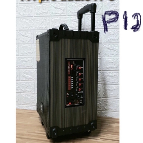 Loa karaoke Bluetooth PA Pro audio PA12