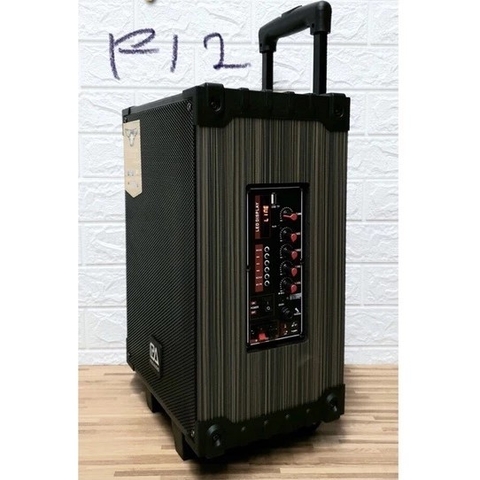 Loa karaoke Bluetooth PA Pro audio PA12