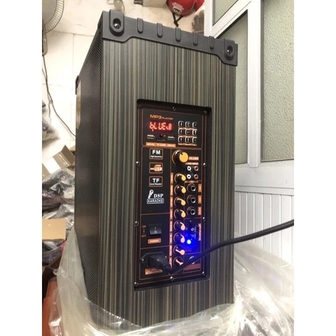 Loa karaoke Bluetooth PA Pro audio PA12