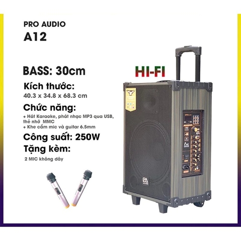 Loa karaoke Bluetooth PA Pro audio PA12