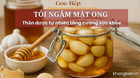Tỏi ngâm mật ong – Thần dược tự nhiên tăng cường sức khỏe