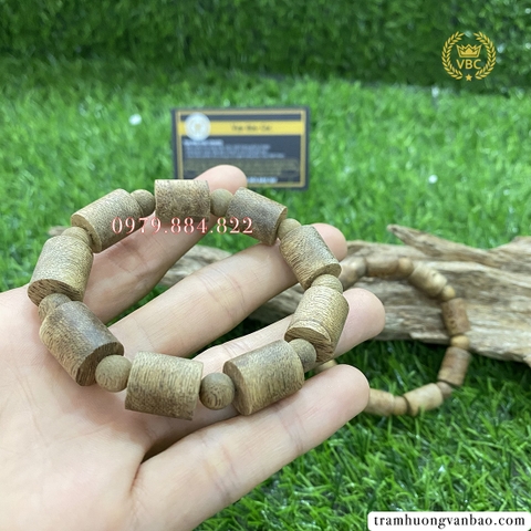 Vòng trầm kiến đốt trúc