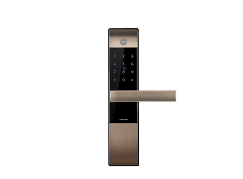 Khóa điện tử Yale YDM3109A RB