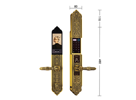 Khóa cửa đại sảnh Demax EL 9882 GB BRASS