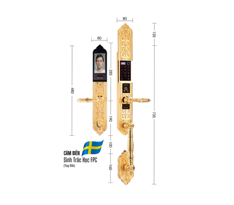 Khóa cửa đại sảnh Demax EL 888 BRASS