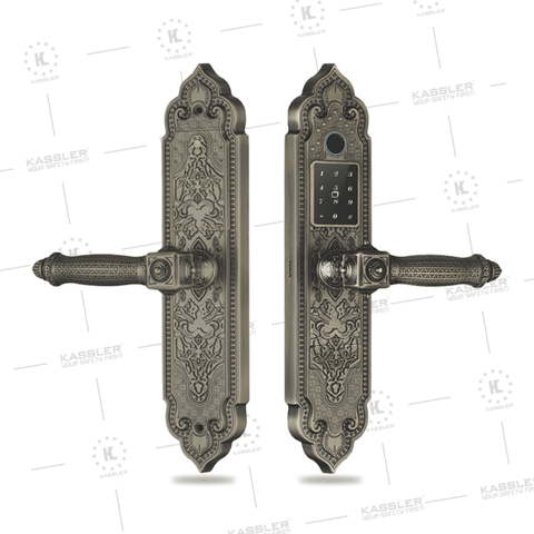 Khóa vân tay đại sảnh Kassler KL-919 Pro Green