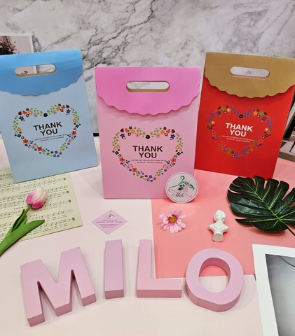 Túi quà cao cấp có nắp size trung