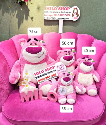 Gấu bông Lotso gấu ngồi cao cấp (hàng Quảng Châu)