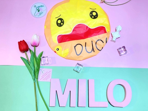 Trùm tóc hoạt hình cute