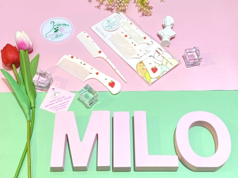 Set 2 lược chải tóc tạo kiểu hình cute Sudi Comb