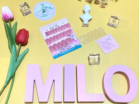 Set 24 móng giả nhiều họa tiết
