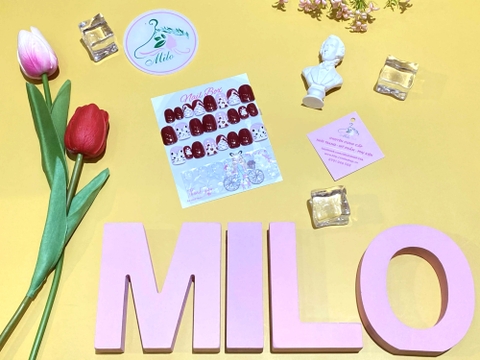 Set 24 móng giả nhiều họa tiết
