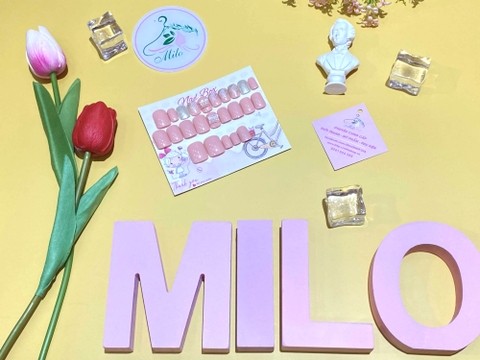 Set 24 móng giả nhiều họa tiết