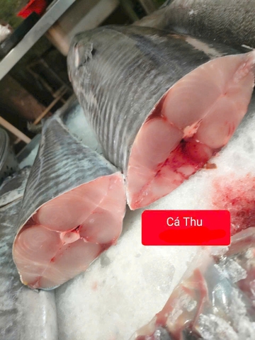 Cá Thu cắt khoanh