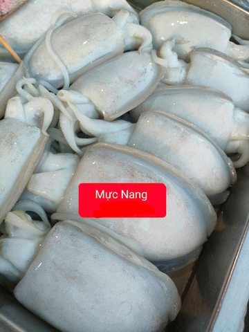Mực Nang