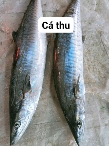 Cá Thu Phú Quốc