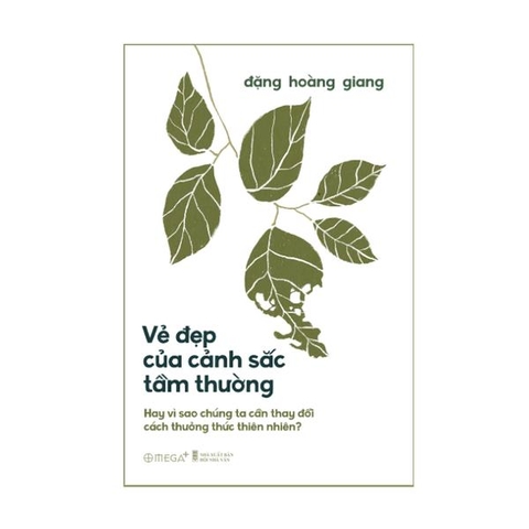 Vẻ Đẹp Của Cảnh Sắc Tầm Thường