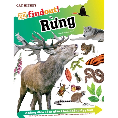 Bộ Dk Findout - Những Điều Sách Giáo Khoa Không Dạy Bạn (05 Cuốn Lẻ)