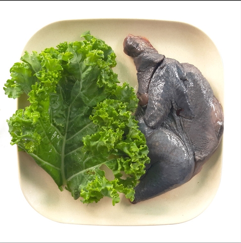 Gà Ác - Cải Xoăn Kale