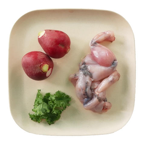 Ếch - Củ Cải Đỏ