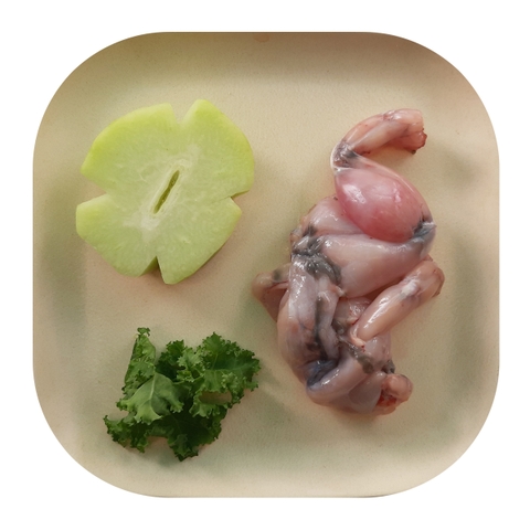 Ếch - Su Su