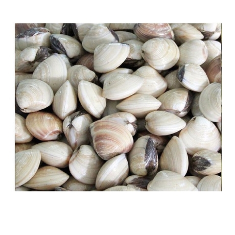 Ngao biển trắng (1kg)