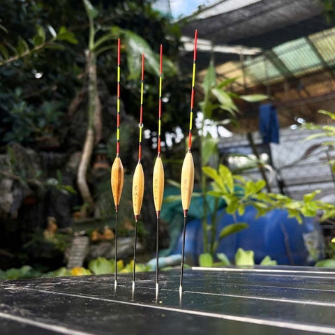 Phao Cỏ Lau Phi Thanh, Chuyên Dùng Câu Nước Nông, Câu Lửng, Cá Nhát