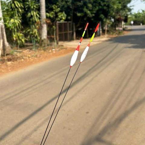 Phao Hố Đấu Câu Chép tự cân Tăm 2 vạch cánh khế