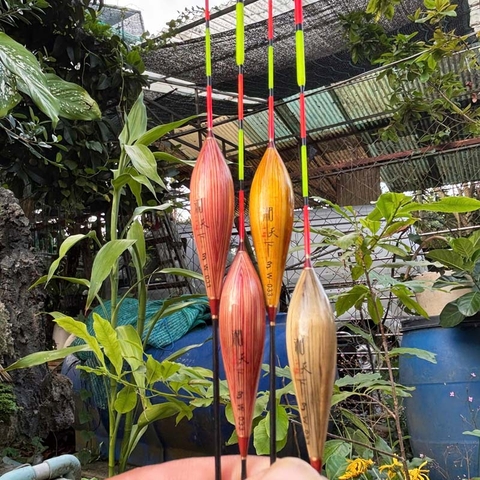 Phao Cỏ Lau Phi Thanh, Chuyên Dùng Câu Nước Nông, Câu Lửng, Cá Nhát