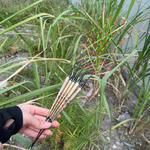 Phao Cỏ Đêm Chuyên Rô Phi, Tùy Chọn Cảm Biến Và Không Cảm Biến (Tặng Kèm Pin )