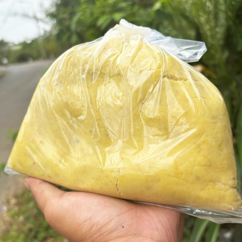 ( Hàng Loại 1) Khoai Lang Ủ Bơ Sữa, Mùi Chua Thơm Hương Bơ và Sữa. Dùng Câu Chép Trôi, Rô Phi