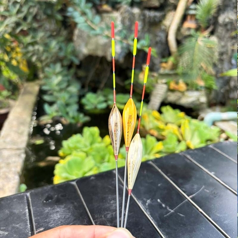 Phao Cỏ Lau Phi Thanh, Chuyên Dùng Câu Nước Nông, Câu Lửng, Cá Nhát