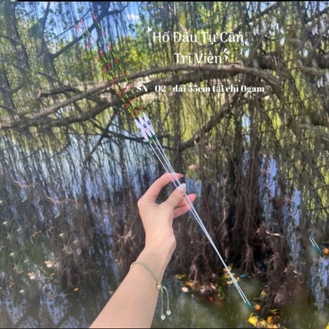 Phao Hố Đấu SN Tự Cân Không Chì  9 nấc và 15 nấc