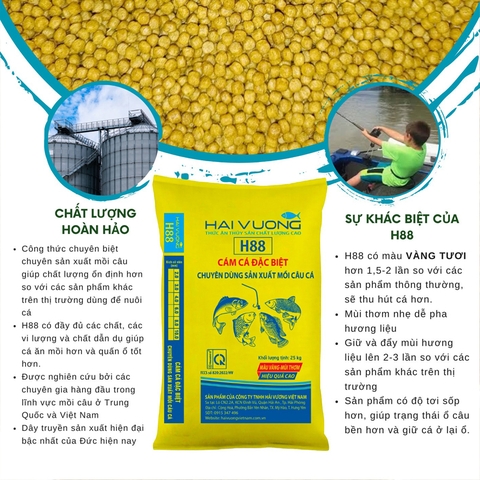 (Bao 10kg Đã Xay) Cám Thơm Câu Cá H88, Mồi Câu Cá Chép, Trôi, Mè. Trắm..